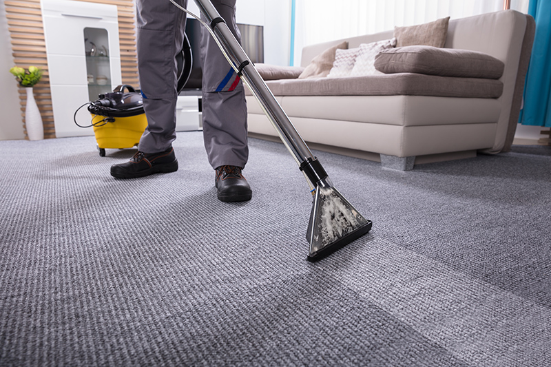 What is a Professional Carpet Cleaner?